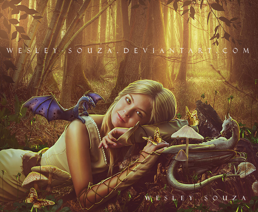 Sweet Girl and the little Dragons by Wesley-Souza