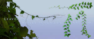 Leaves PNG Stock 4 by Wesley-Souza