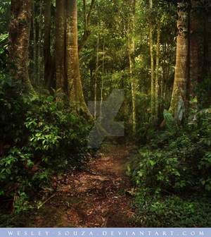 Forest Premade Stock by Wesley-Souza Forest Premade Stock by Wesley-Souza