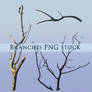 Branches PNG stock 2