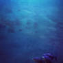 Underwater Premade Stock