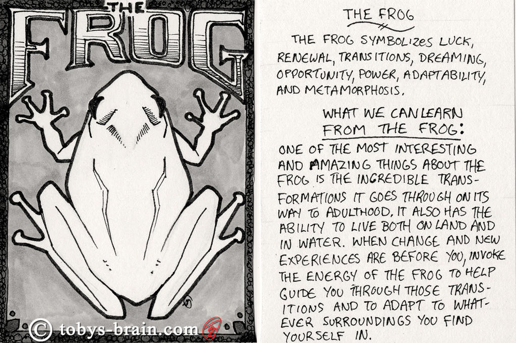 Animal Totem Card: The Frog