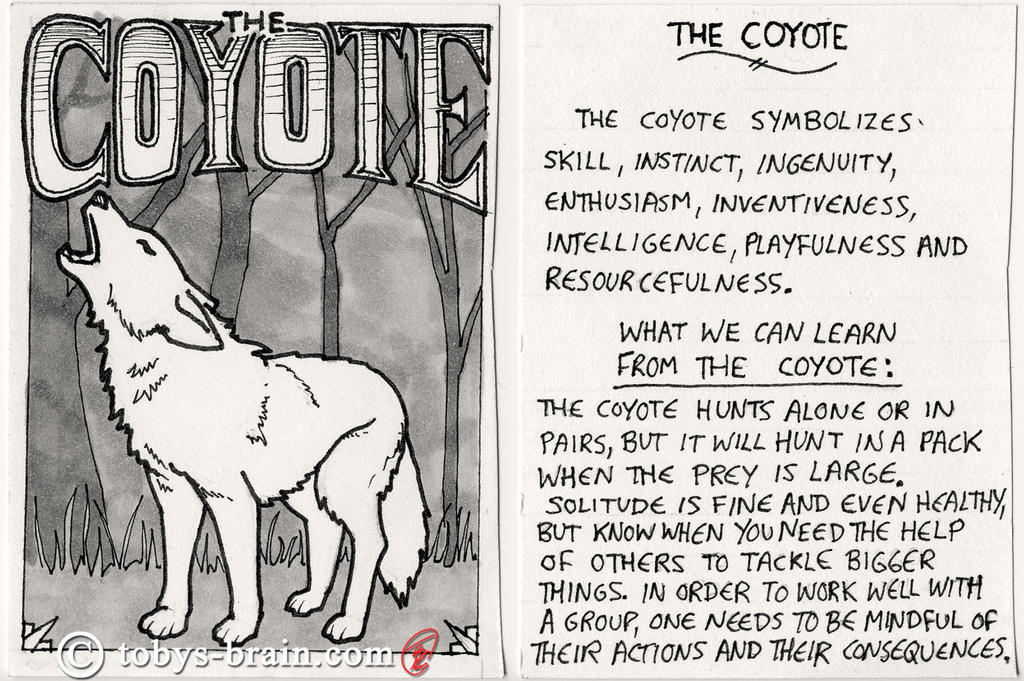 Animal Totem Card: The Coyote by tobys-brain on DeviantArt