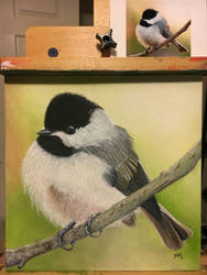 Chickadee