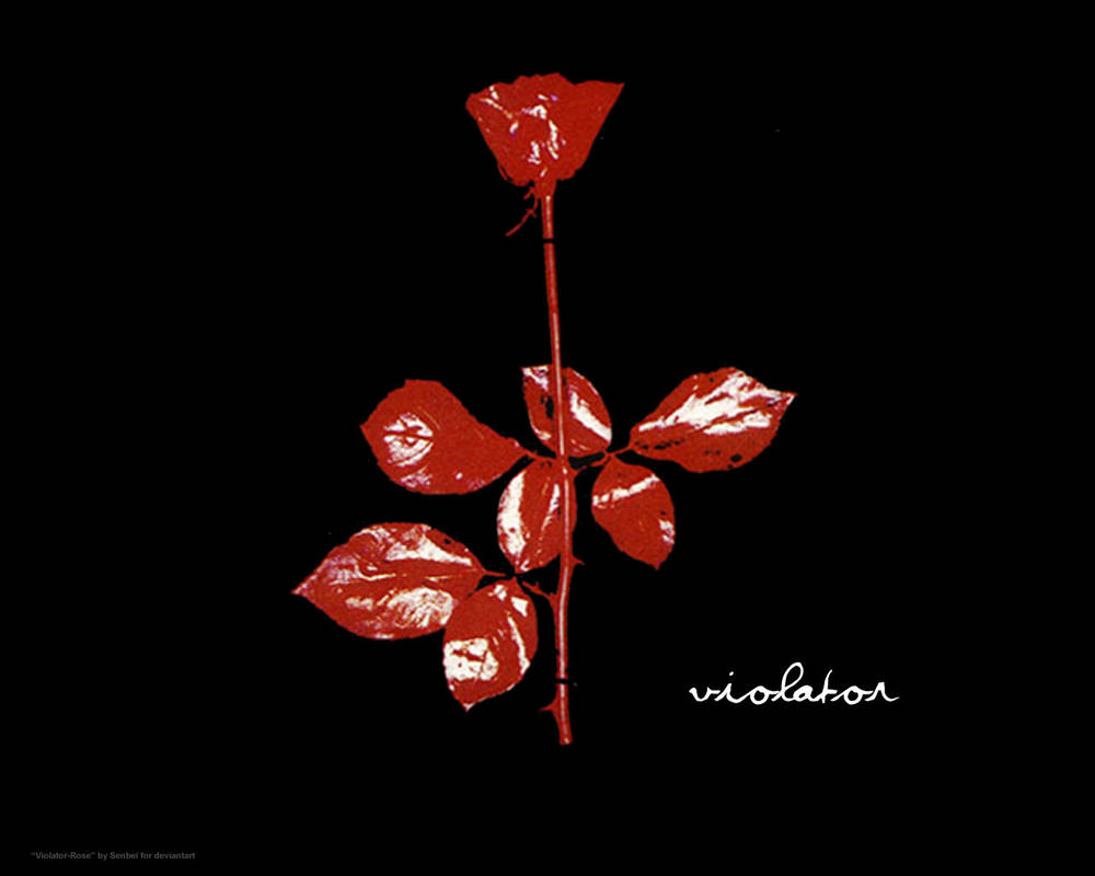 Violator Rose by senbei on DeviantArt