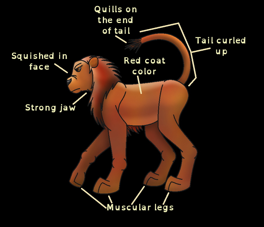 Manticore Anatomy