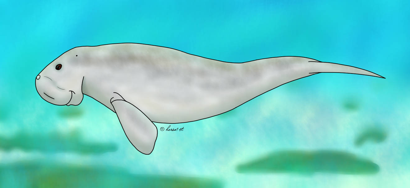 How I Draw A Dugong (request) by horse14t on DeviantArt