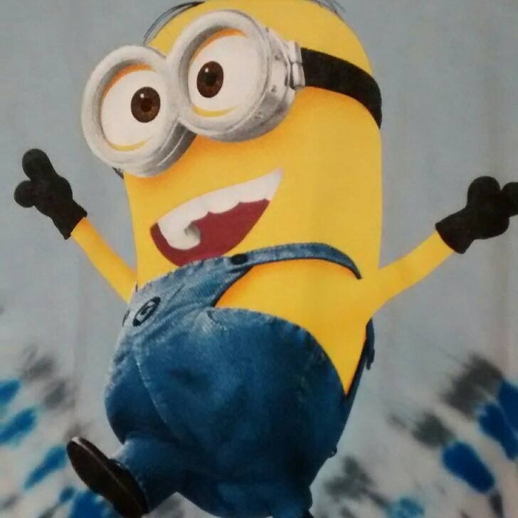 MINION HAVING FUN !!!