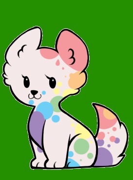 RAINBOW SPOT PUPPY !!!