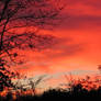 red_sunset2