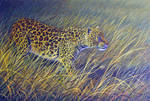 Leopard Ambush by WildartBD