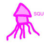 SQUID