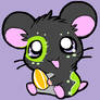 free black hamster adopt CLOSED