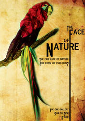 The Face of Nature - Parrot