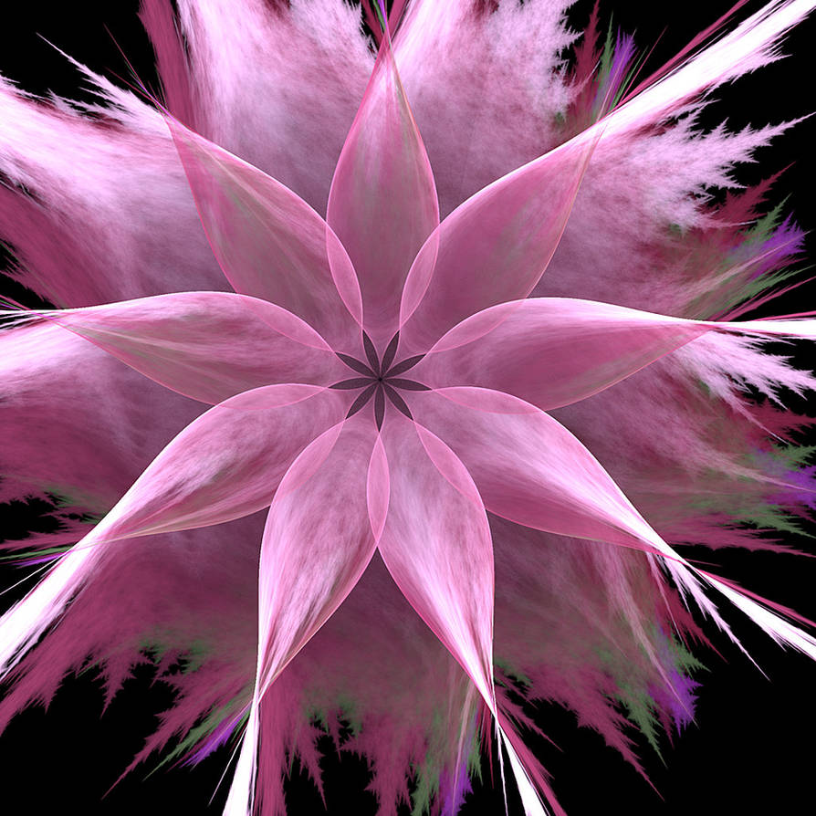 pink flower