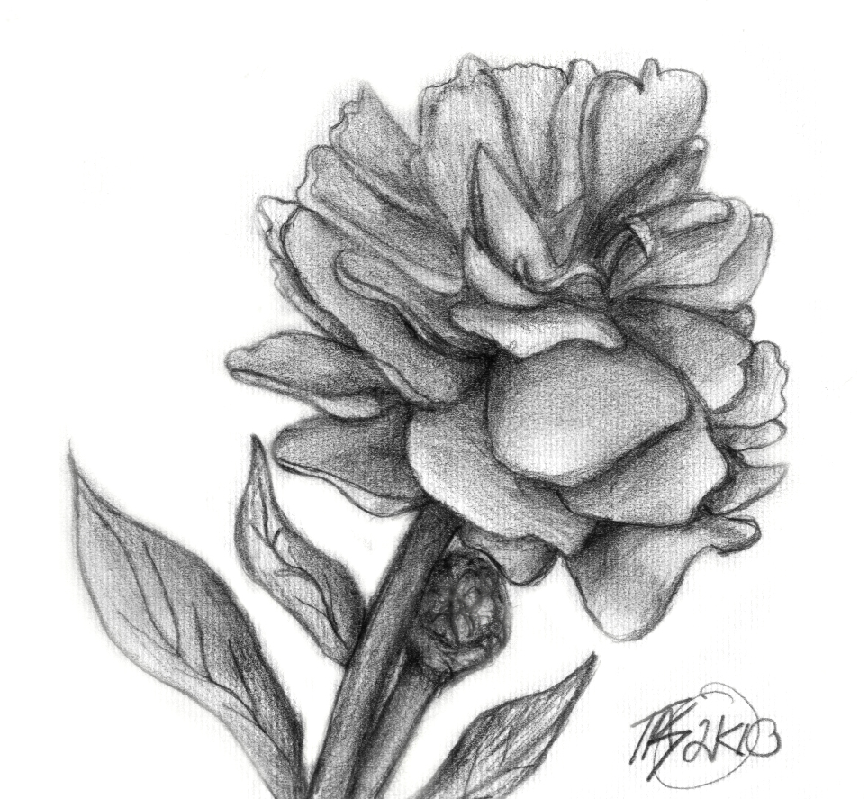 Peony