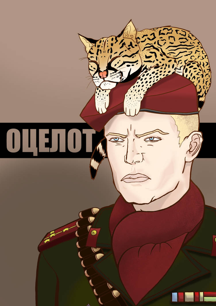 Арчер Оцелот