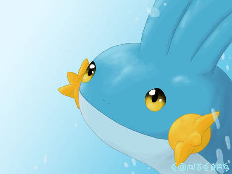 Mudkip Closeup