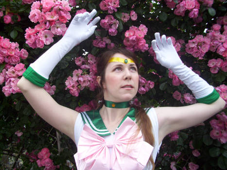 Sailor Jupiter: Garden Dream