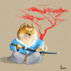 Wow such ronin!