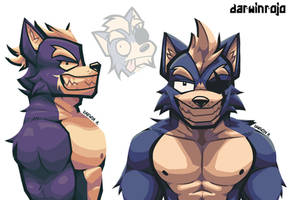 WOLF O'DONNELL