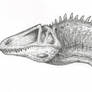 Acrocanthosaurus