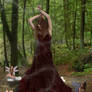 Faerie Dance