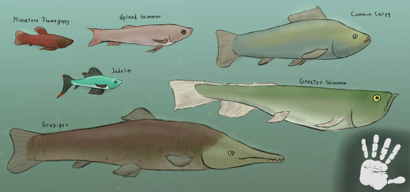 Freshwater fish of Tsangana by mking3000 on DeviantArt