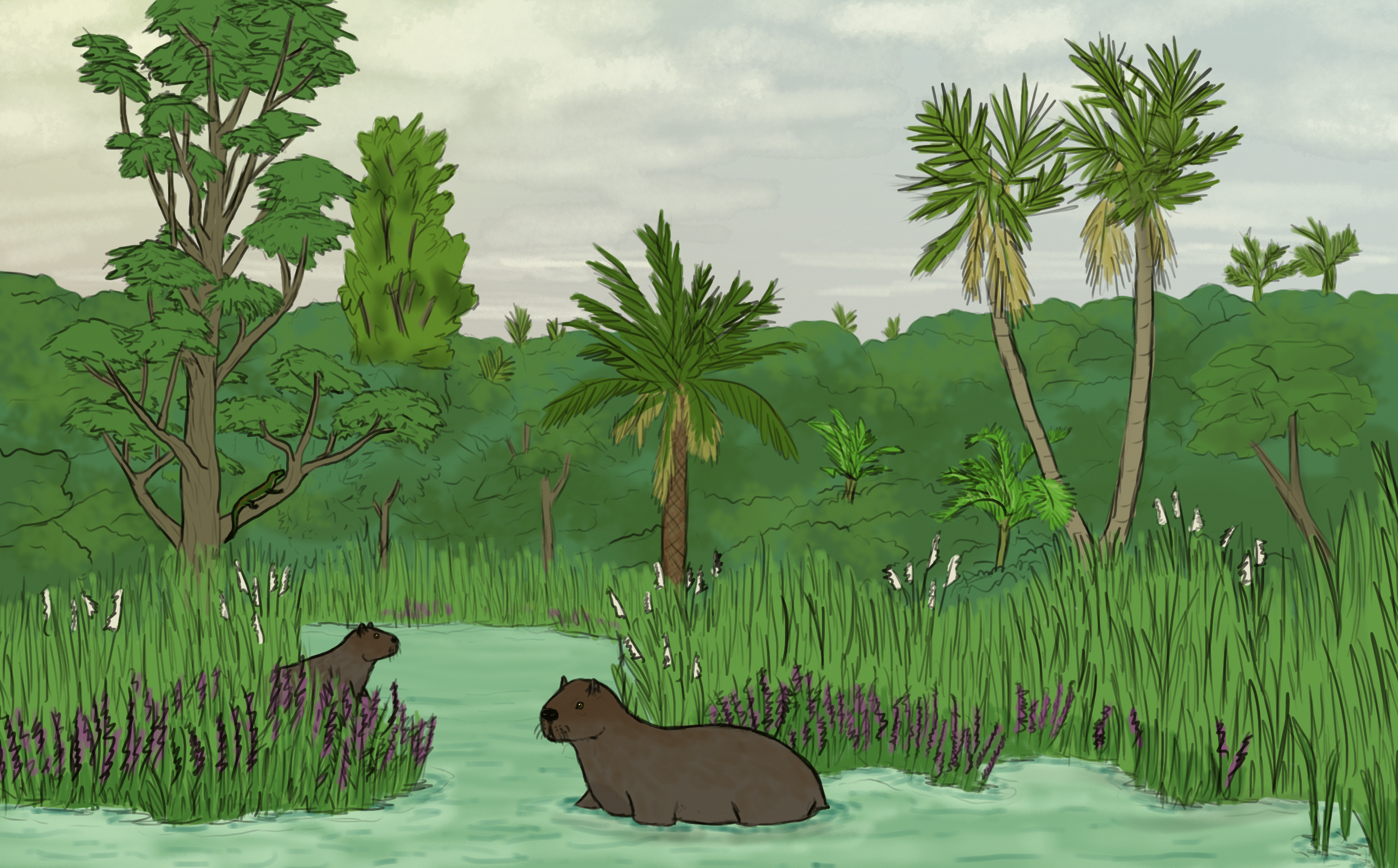 8MYPA: Into the reeds
