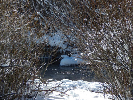 Red River, New Mexico