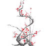 Chinese plum tree blossom sumi-e painting