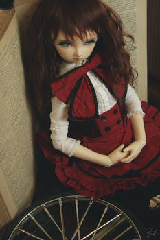 volks  sara