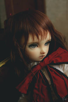 volks   sara