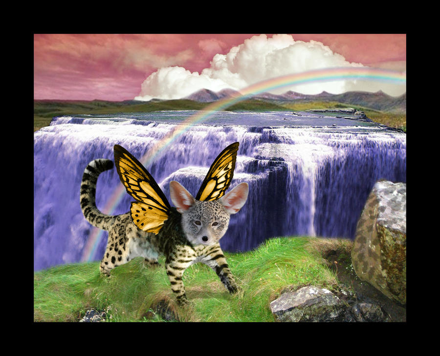 Creature Feature by dropsofjupiter88 on DeviantArt