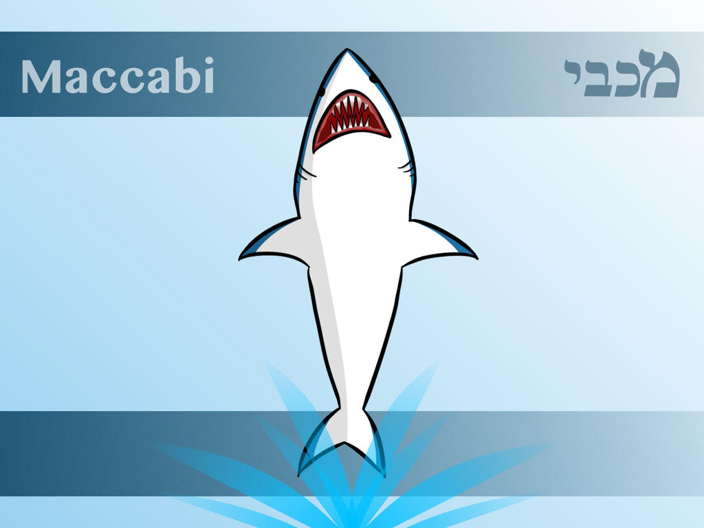 Maccabi Flag