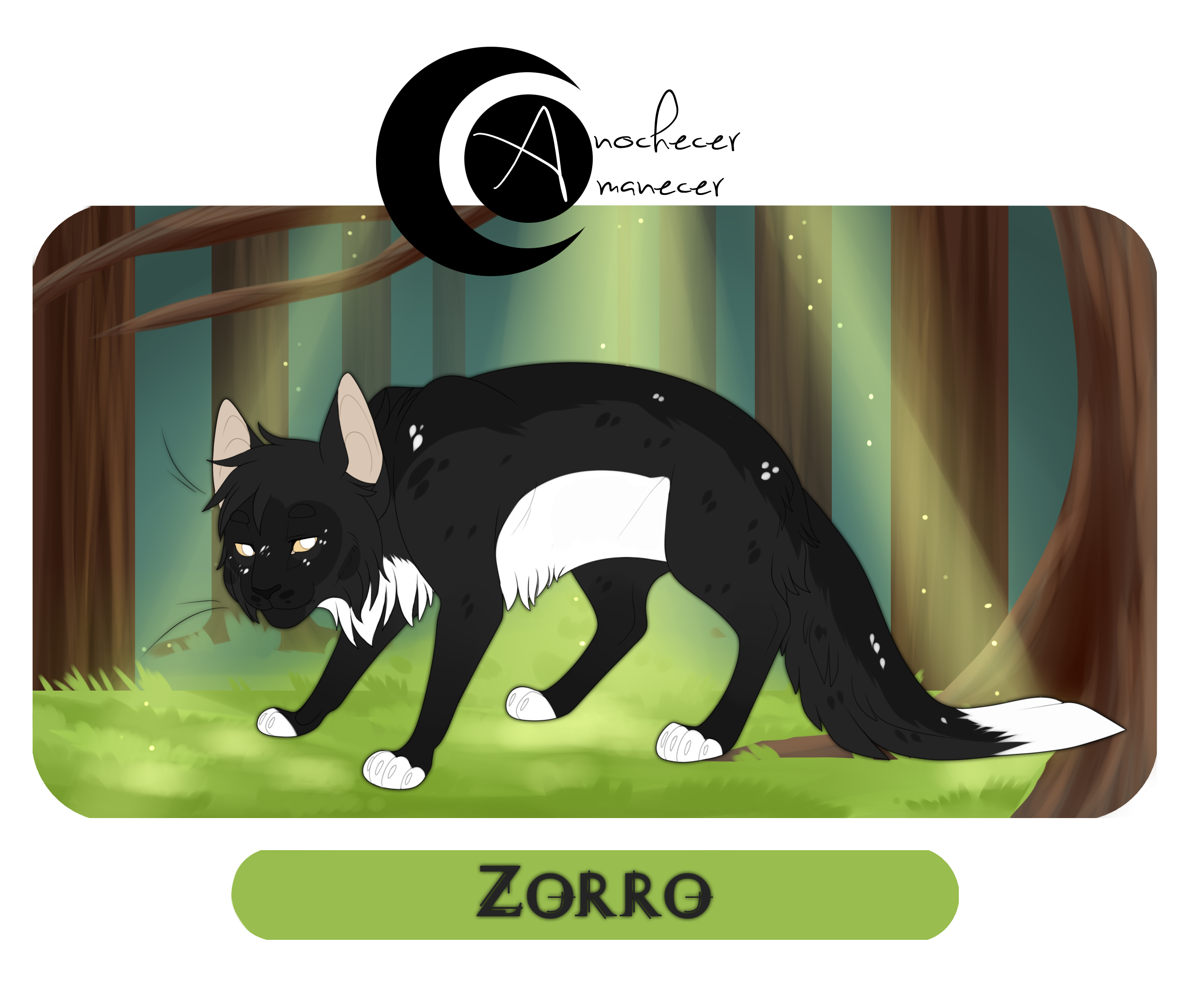 AYA | Zorro