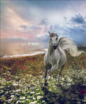 Joy of Spring by IllusionoftheDay