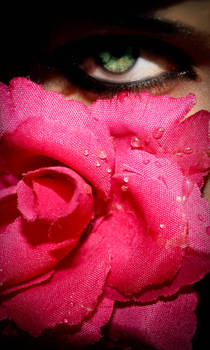 Drops of venus
