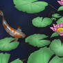 Koi Pond