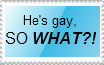 GLBT support stamp by MystEryuNwanTed