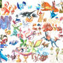POKEMON - GENERATION 3