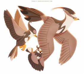 Staravia Starly and Staraptor