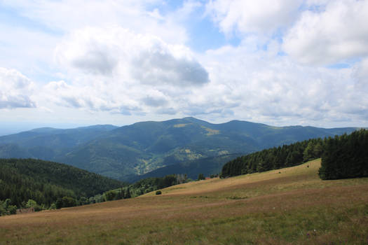 Petit ballon d'Alsace