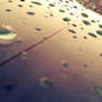 Rain Drops