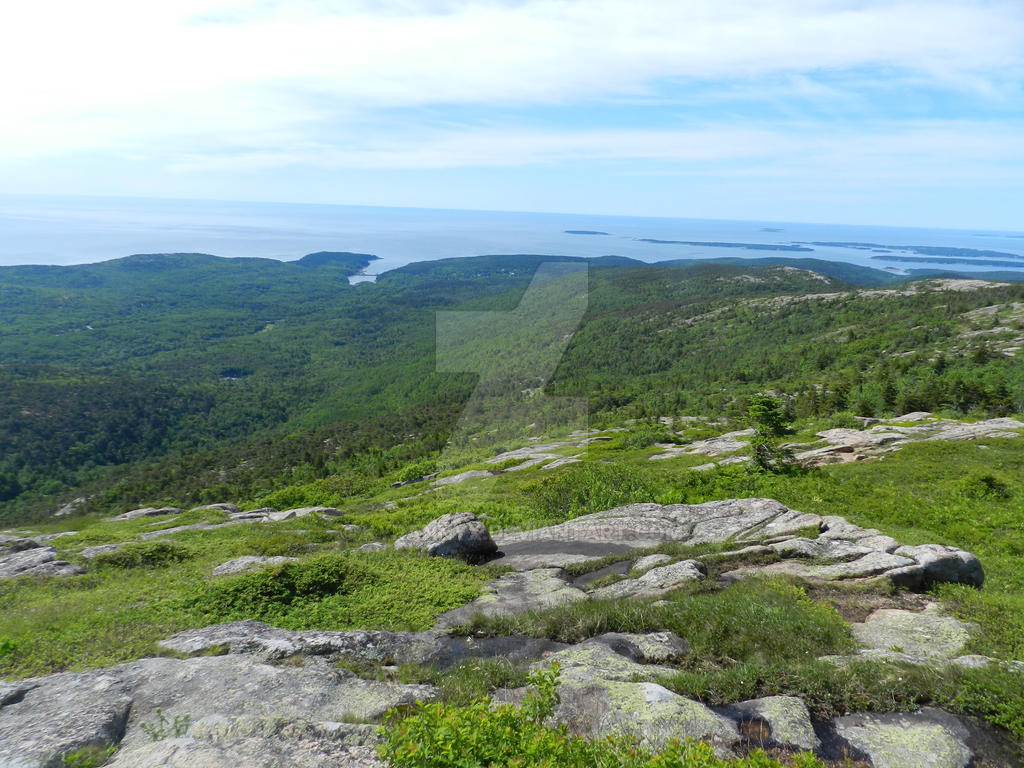 Acadia National Park - Cadillac Mountain (5)