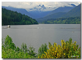 Capilano Lake