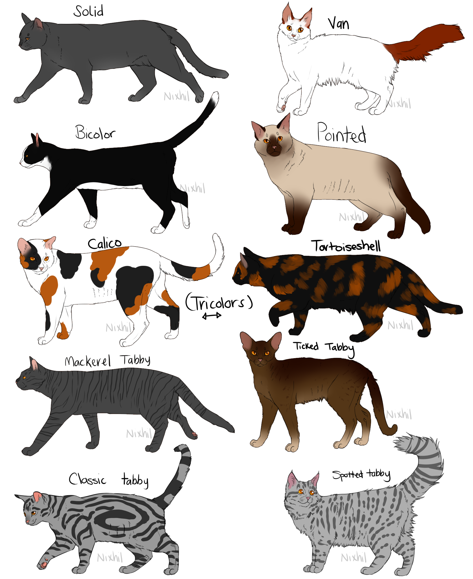 Cat Fur Patterns