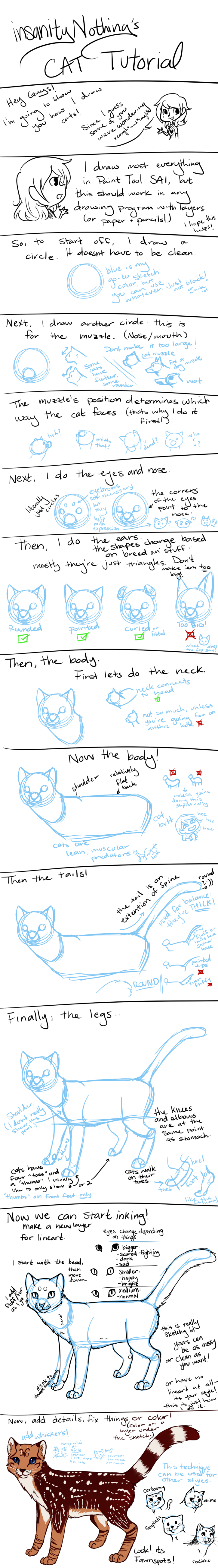 Drawing Tutorial -- Cats