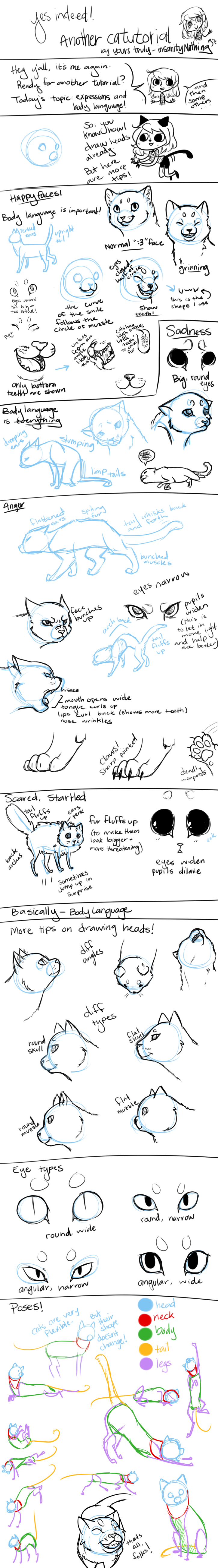 Drawing Tutorial -- Cats Part 2