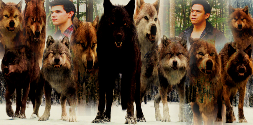Download Wallpaper Twilight Wolf Pack Desktop Wallpaper Get Wallpaper Wallpaper Twilight Wolf Pack HD